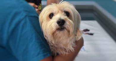 107 ЕВРО