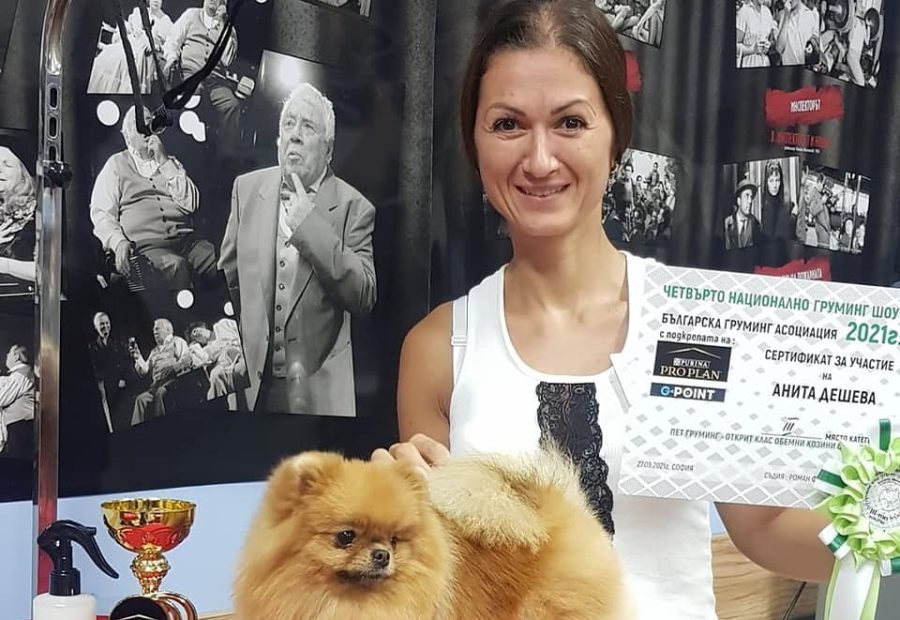 38-ГОДИШНАТА АНИТА ДЕШКОВА ОТ СТАРАТА СТОЛИЦА ЕЖЕДНЕВНО СЪЗДАВА КРЕАТИВНИ И УМИЛИТЕЛНИ ПРИЧЕСКИ НА КУЧЕТА, КОТКИ И ДРУГИ КОСМАТИ....