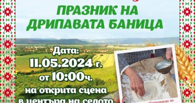 Дрипава баница Върбица