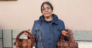 Безработна оцелява, като майстори кошници от шишарки