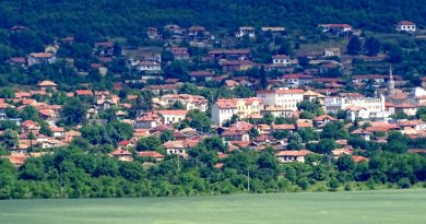 просеки