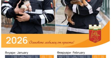 благотворителен календар