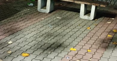 съдебната палата