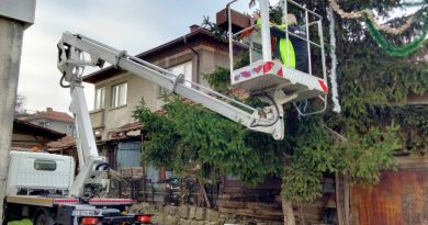 Украси с помощта на вишка коледно дърво