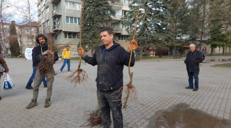 фиданки ще раздава Гораталбг за 3 март във велико търново