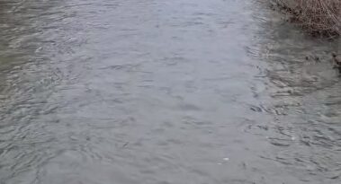 Александър Стамболийски