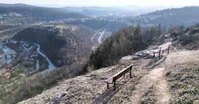 гарга