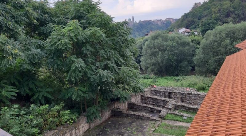 Айлантът