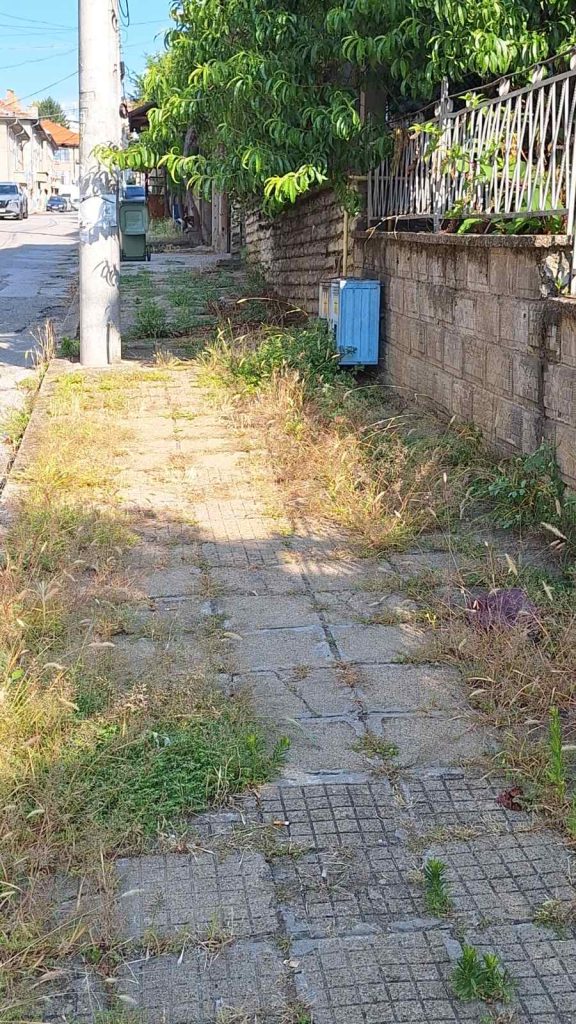 бурени
