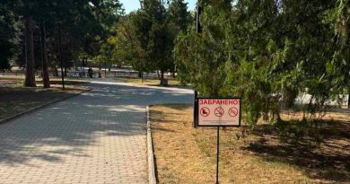 паркова алея