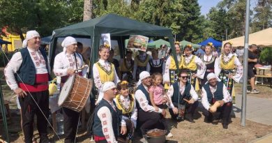 кокошата чорба