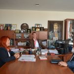 Павликени